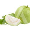 Guava 