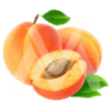 Apricot 