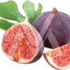 Fig